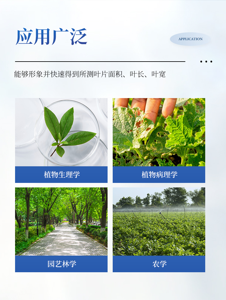 叶面积仪